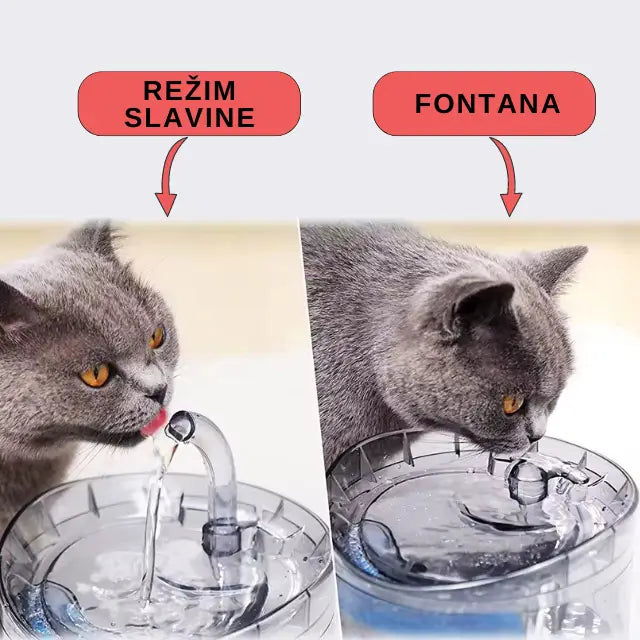Fontana pojilica za mace i kuce